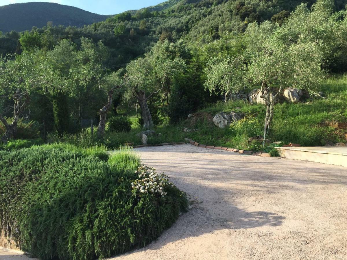 Valuable Rustic Tuscan Swimming Pool, Breathtaking View Of Camaiore Luaran gambar