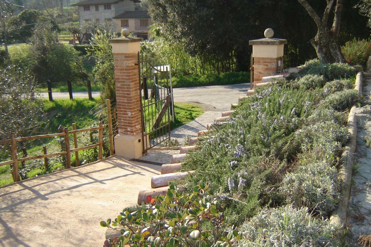 Valuable Rustic Tuscan Swimming Pool, Breathtaking View Of Camaiore Luaran gambar